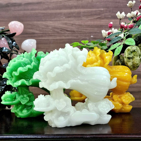 Bắp Cải size to 
